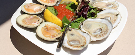 klein's fish market catering oysters